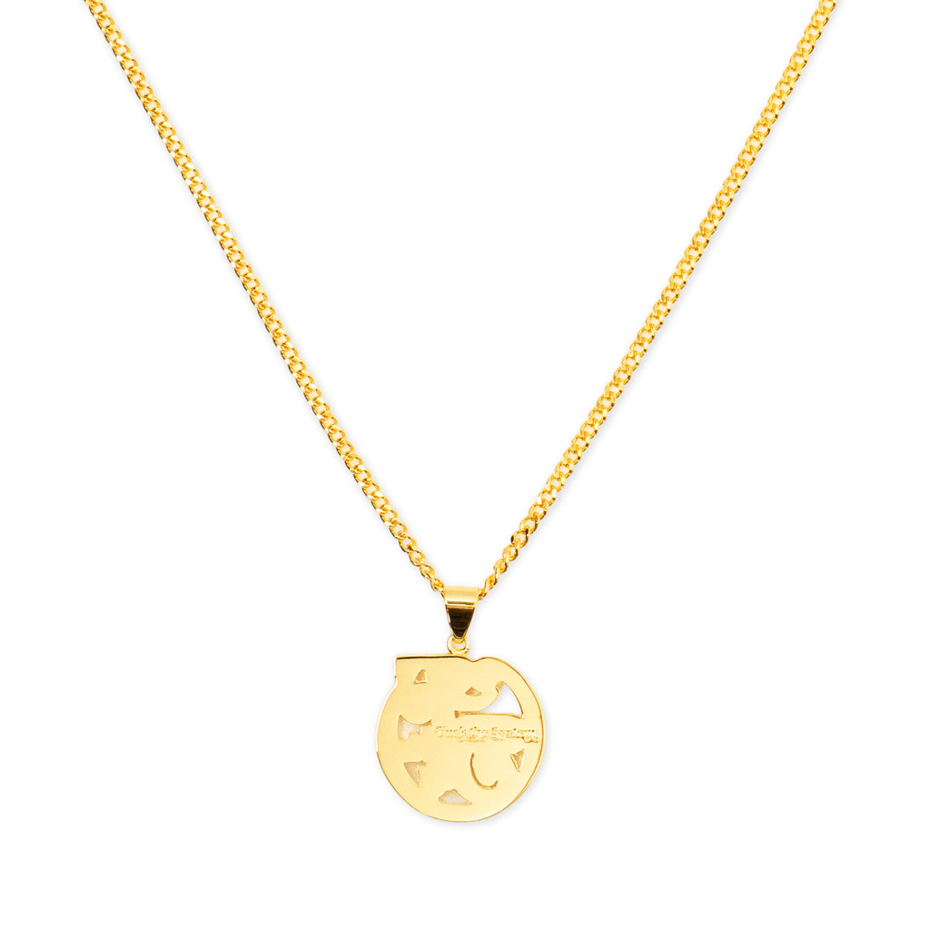 BlaqFlavor / Fuck The System Necklace
