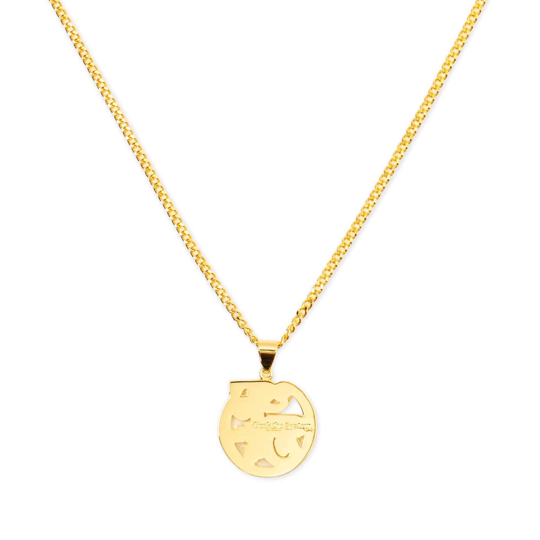 BlaqFlavor / Fuck The System Necklace