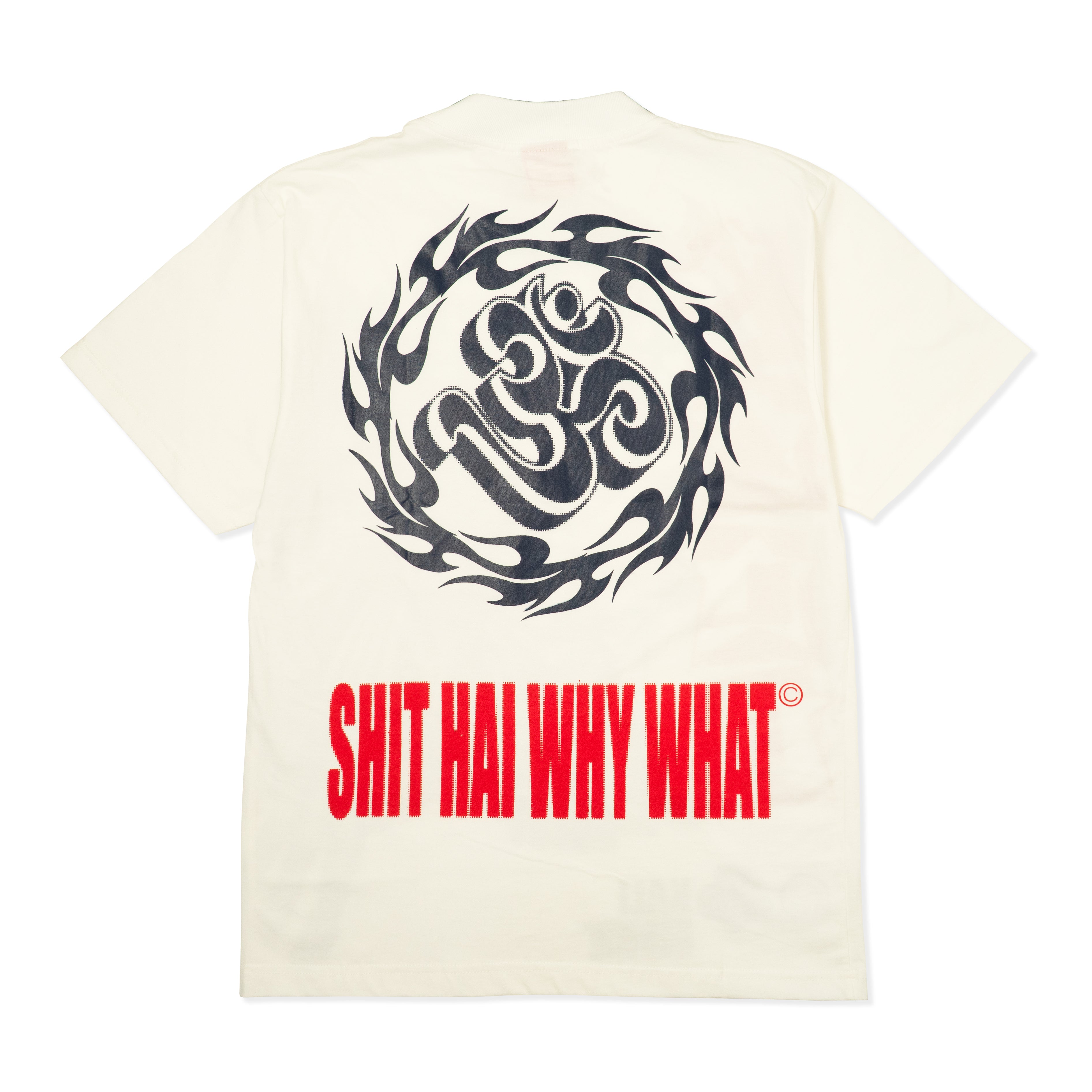 SHIT HAI WHY WHAT STORE / S/S Hindu god series "KALI" Tee