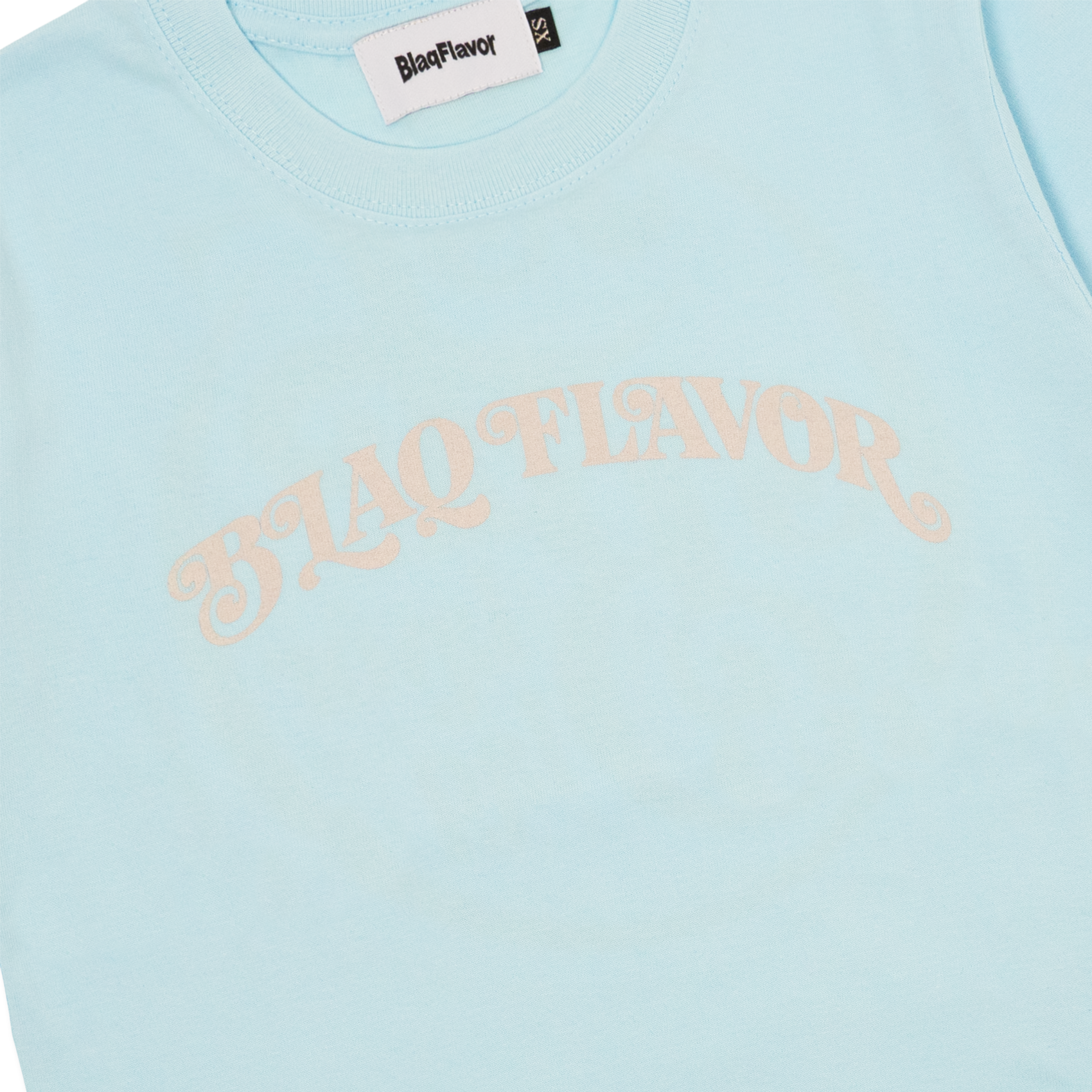 Blaq Flavor W S/S Fuck The System Tee